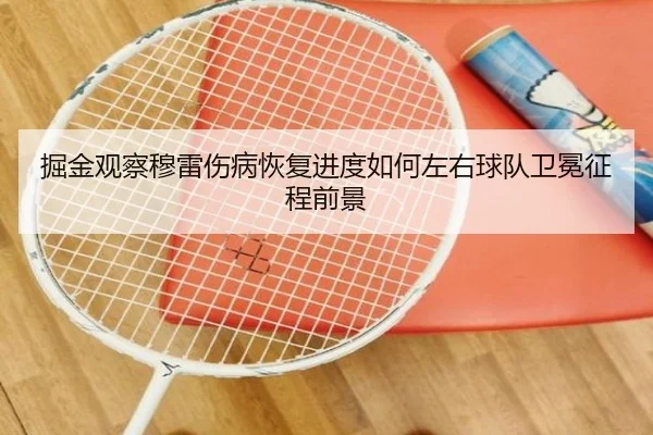 掘金观察穆雷伤病恢复进度如何左右球队卫冕征程前景