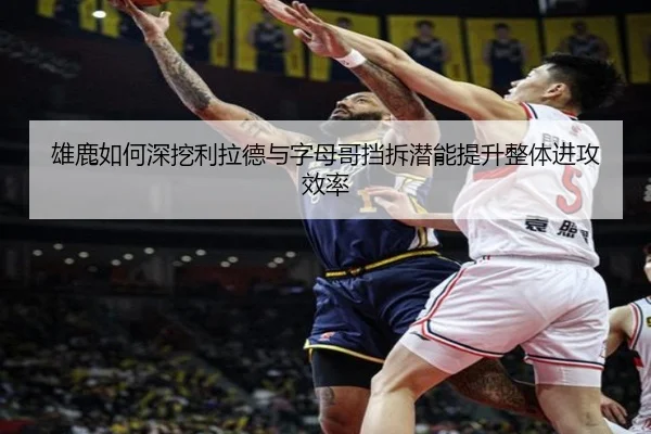 雄鹿如何深挖利拉德与字母哥挡拆潜能提升整体进攻效率